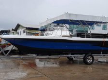 {{brizy_dc_image_alt imageSrc=