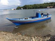 {{brizy_dc_image_alt imageSrc=