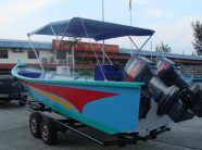 {{brizy_dc_image_alt imageSrc=