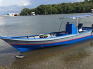 {{brizy_dc_image_alt imageSrc=