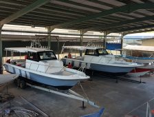 {{brizy_dc_image_alt imageSrc=