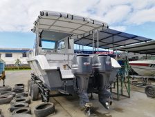 {{brizy_dc_image_alt imageSrc=